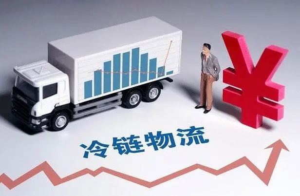 上海物流公司的冷链物流服务需要哪些技术支持？